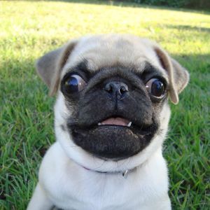 Meet your Posher, Michele